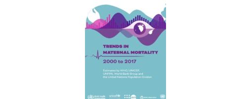 Trends in Maternal Mortality: 2000-2017 banner image