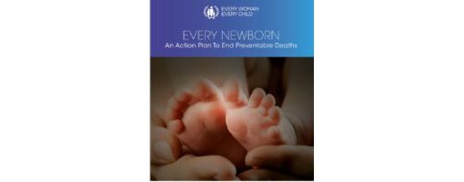 Every Newborn: An Action Plan to End Preventable Deaths banner image