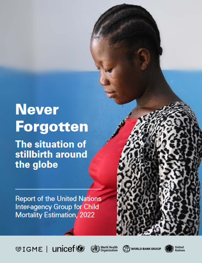 New Global Report Answers 10 Questions on Stillbirthbanner image