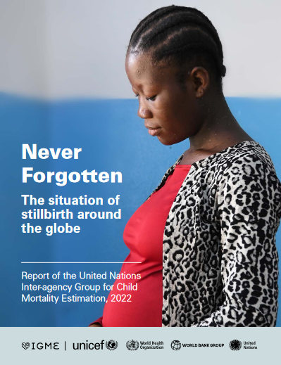 New Global Report Answers 10 Questions on Stillbirth banner image