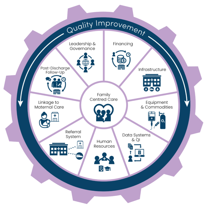 Care of Small Babies: Routine Assessment of the Small Baby – Healthy Newborn  Network