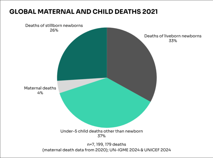 Stillbirths must be part of the conversation on newborn health  banner image
